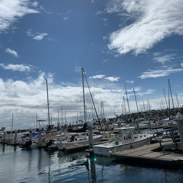 boats at marina